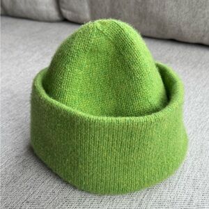 Everlane The Felted Merino Wool Beanie Green